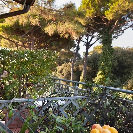 米尼翁酒店 3* 马尔米堡