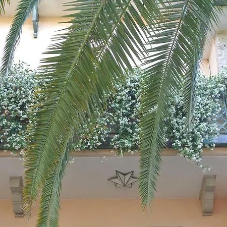 Mignon 3* Forte dei Marmi